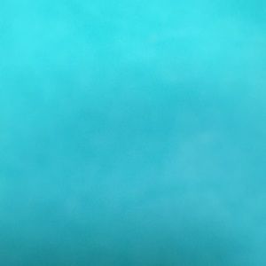 Meet your Posher, Margarita